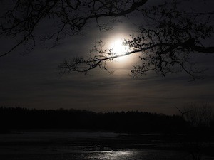 What to do about RO2 exams and stress - photo of moonllght