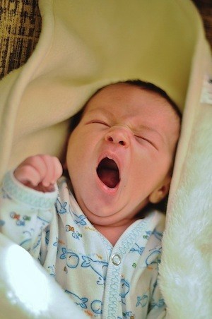 Don’t do this when studying for Financial Services Exams - photo of baby yawning