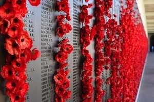 Brain circuitry & PTSD - photo of poppies on war memorial