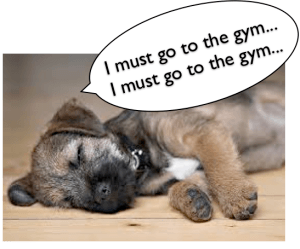 I must go to the gym - photo of sleeping puppy