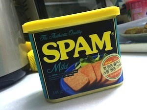 ICANN and I will - photo of can of spam