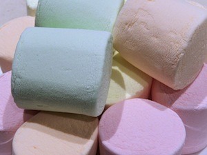 Stanford marshmallow experiments - photo of marshmallows