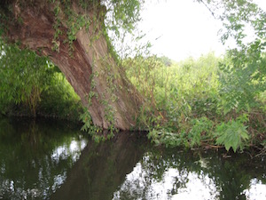 Lucky sheep dip - photo of stream