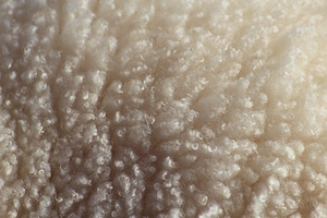 Lucky sheep dip - photo of sheep's fleece